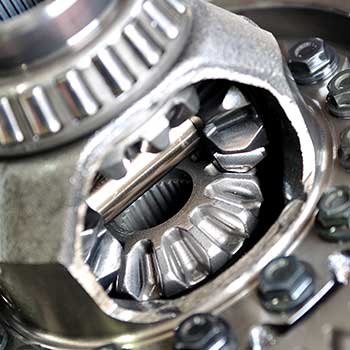 Drivetrain & Differential